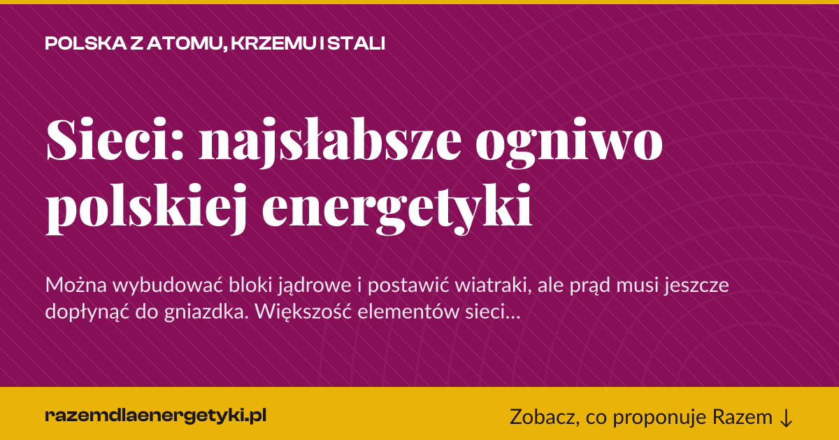 Karta social do udostępnienia: Sieci: najsłabsze ogniwo polskiej energetyki