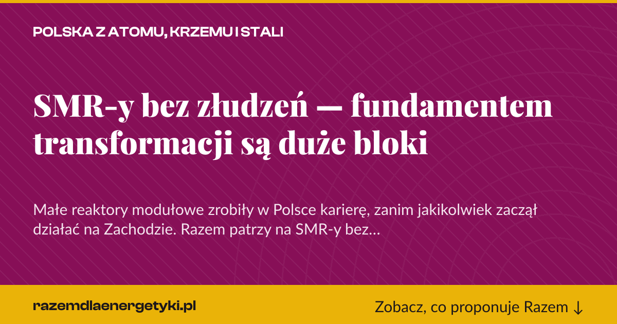 Karta social do udostępnienia: SMR-y bez złudzeń — fundamentem transformacji są duże bloki